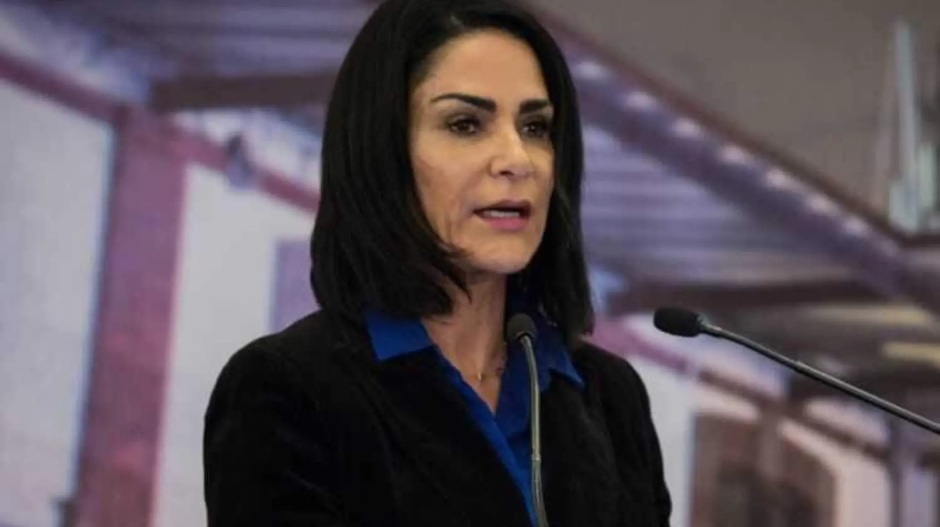 Periodista Lydia Cacho